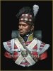 Young Miniatures YH1826 The 92nd Gordon Highlanders Waterloo 1815 1/10